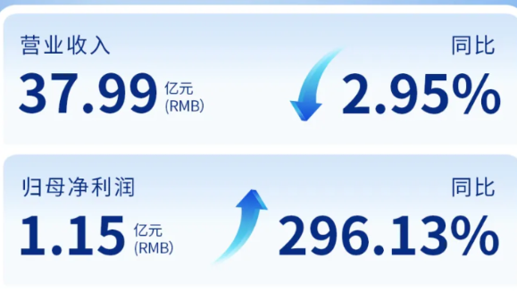 yl6809永利（002219）发布2024年年度报告：归母净利润增长296%